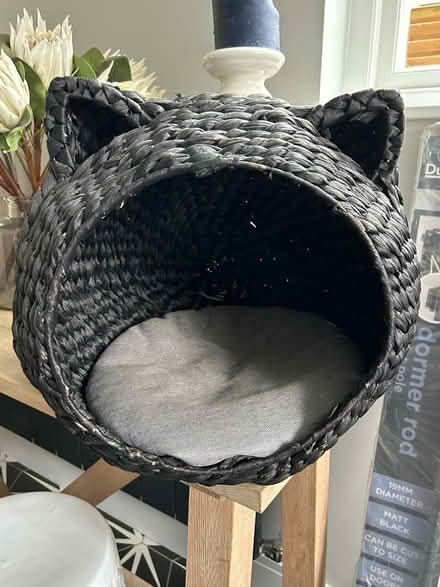 Photo of free Cat Basket (Chiswick W4) #1