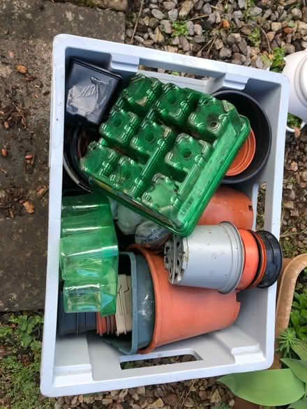 Photo of free Various plastic plant pots (Broadclyst) #1