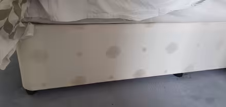 Photo of free 2x single bed bases (Hengistbury Head BH6) #2
