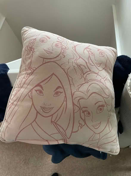 Photo of free Disney cushion (Gainsborough, Ipswich, IP3) #1
