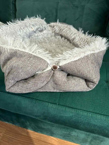 Photo of free cat bed/rug (Reddish SK5) #2
