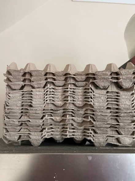Photo of free Egg shelves (croydon) #1
