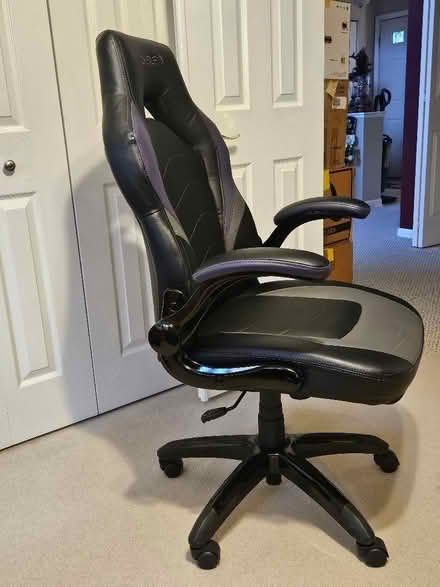 Photo of free Staples Gaming/Office Chair (EGV - Biesterfield & 290) #2