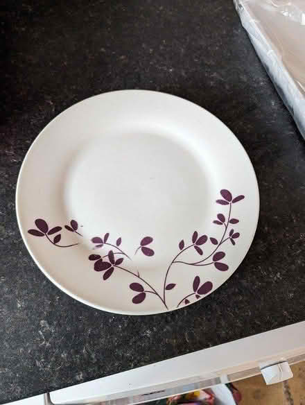 Photo of free 4 dinner plates (L37) #1