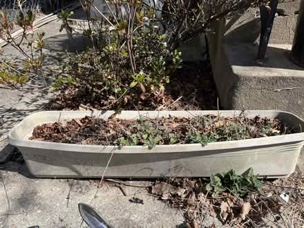 Photo of free garden supplies (Ball Square) #4
