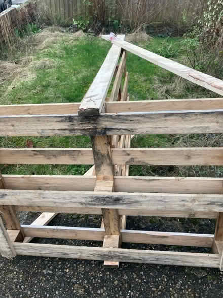 Photo of free Pallets (Oxford OX1) #1
