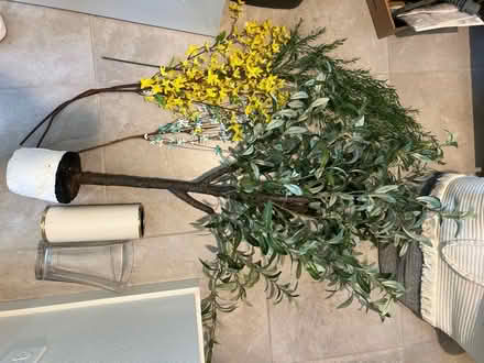 Photo of free artificial olive tree, stems, vases (near kings academy) #1