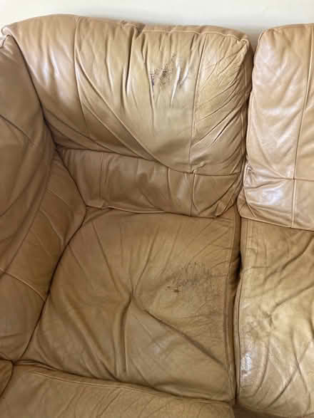 Photo of free Leather corner sofa (Swavesey) #1