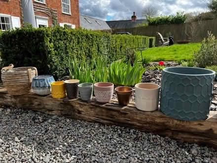 Photo of free Plant Pots (LE7 Ratcliffe on the Wreake) #3