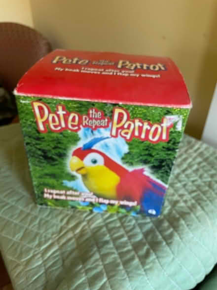 Photo of free Pete repeat parrot toy (Capitol Hill) #1