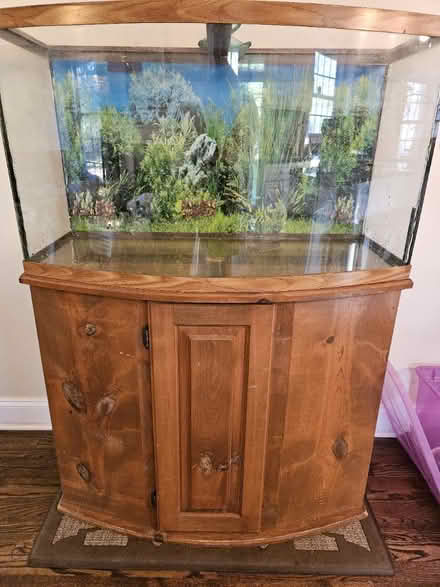 Photo of free Aquarium - 65 gallons with stand (Crieve Hall) #1