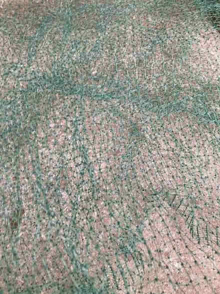 Photo of free Green plastic netting (Cheadle Hulme SK8) #1