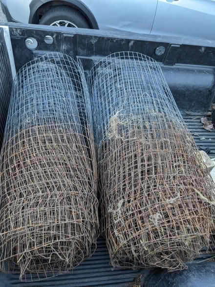 Photo of free Metal fencing (Maple Leaf) #1