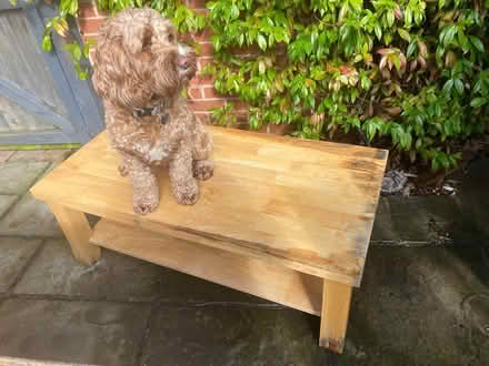 Photo of free Pine coffee table (GL10) #1