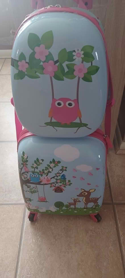 Photo of free Roller case w/detached back pack (Ft Eustis) #1
