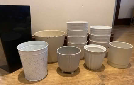 Photo of free Indoor plant pots (Stepney E1) #1