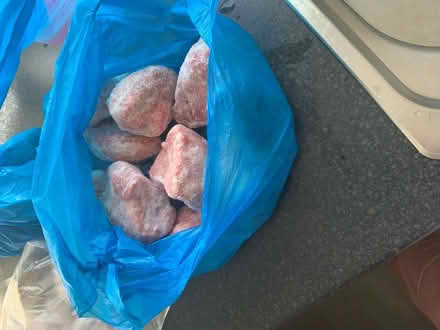 Photo of free Pieces of turkey (Gillot road B16) #3
