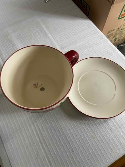 Photo of free Plant pot (Port Credit) #2