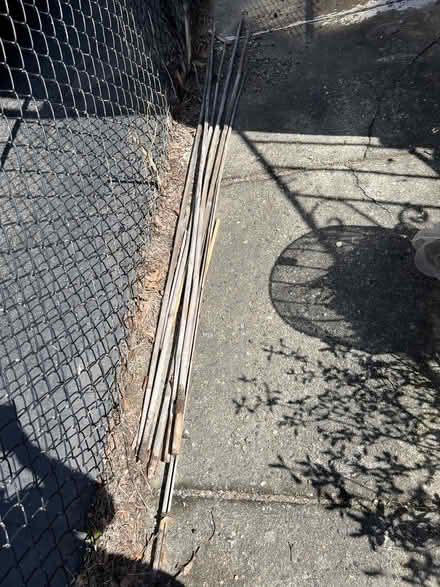 Photo of free garden supplies (Ball Square) #2