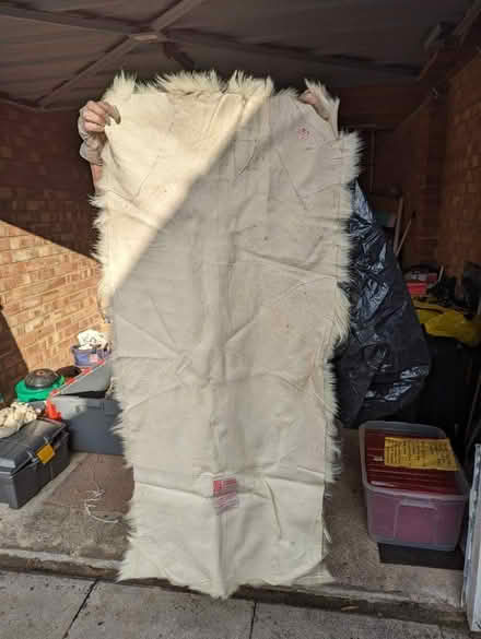 Photo of free Old Mongolian goatskin rug (Heartsease NR7) #1