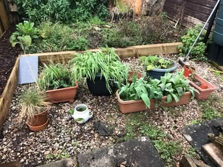Photo of free Various outdoor planters (Broadclyst) #1