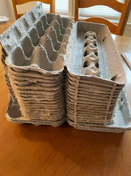 Photo of free Egg cartons (Martinsburg, WV) #1