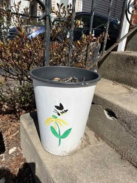 Photo of free garden supplies (Ball Square) #3