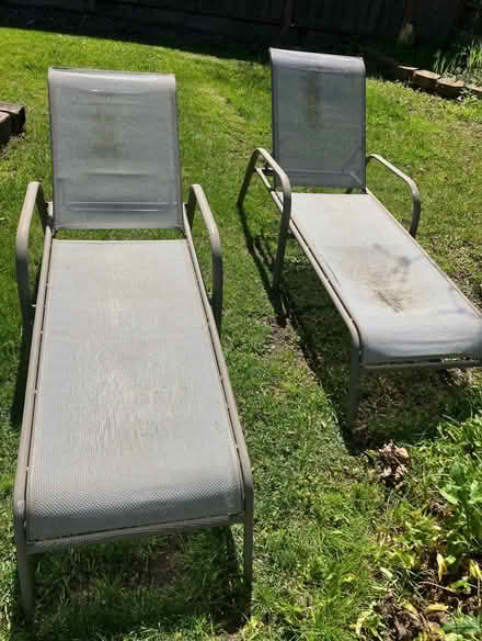 Photo of free Patio lounge chairs (Rockville) #1