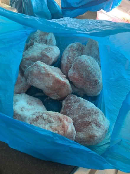 Photo of free Pieces of turkey (Gillot road B16) #1