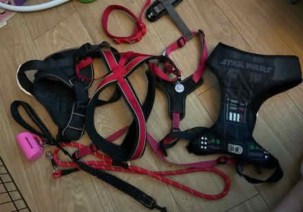 Photo of free Puppy / dog bundle (Calcot RG31) #1