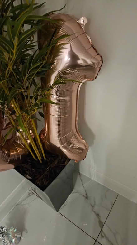 Photo of free Two set of 18 balloons in rose gold (Littleover DE23) #2