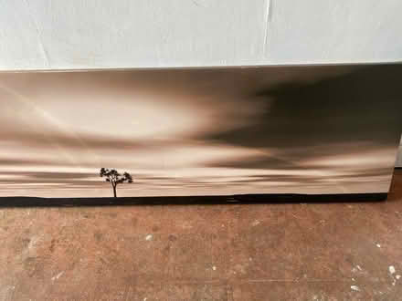 Photo of free Canvas (Sunbury TW16) #1