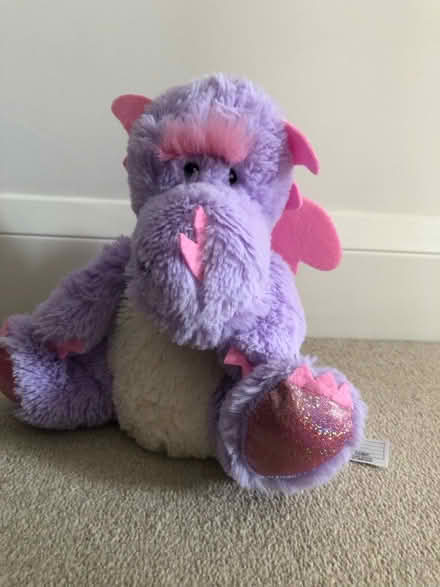 Photo of free Dragon that can be warmed up (SL6 Furze Platt) #1