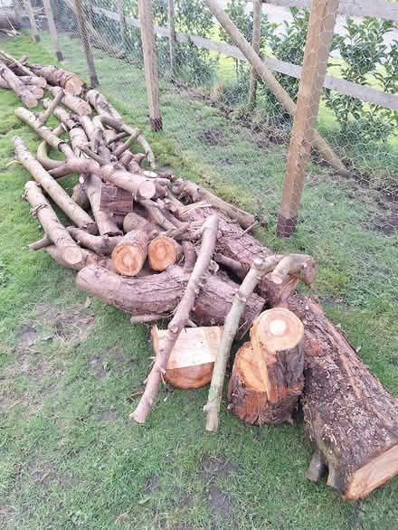 Photo of free Laylandi Logs Nature Project (Etchilhampton, Devizes SN10 3) #1