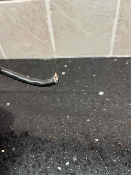 Photo of free Cat 6 outdoor cable (N13) #2