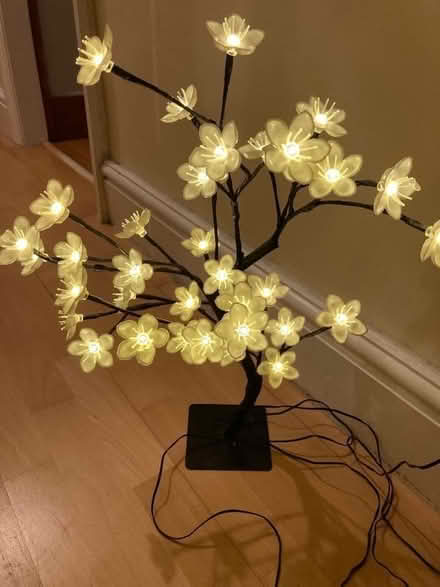 Photo of free Blossom light (Clitheroe BB7) #1