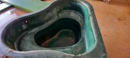 Photo of free Pond (Kelsall CW6) #1