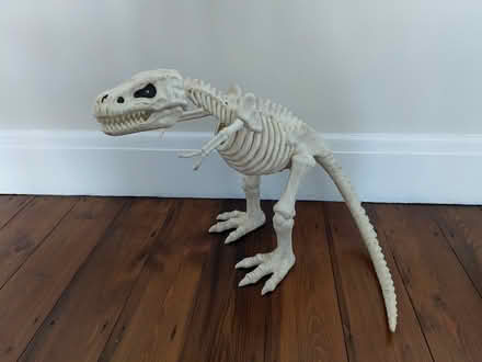 Photo of free T rex plastic skeleton (West Bridgford Nottingham) #1