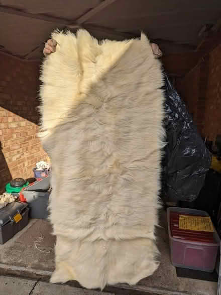 Photo of free Old Mongolian goatskin rug (Heartsease NR7) #2