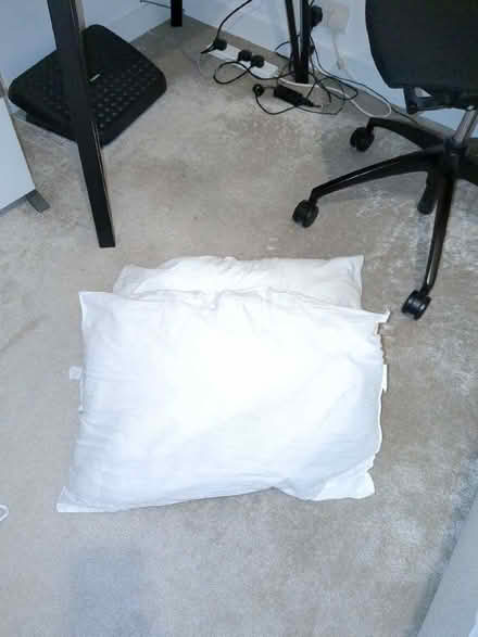 Photo of free Pair of pillows (Finchley N2) #1