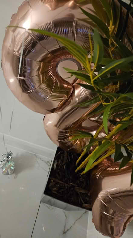 Photo of free Two set of 18 balloons in rose gold (Littleover DE23) #1