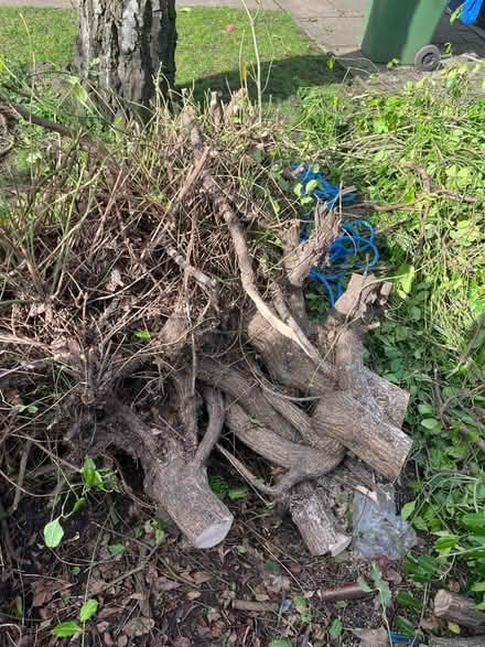 Photo of free Large lump of wood (SW15) #1