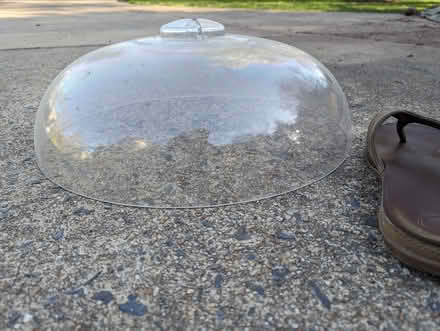 Photo of free Squirrel baffle, brand new (Vienna Hunter Mill) #2