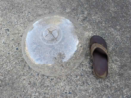 Photo of free Squirrel baffle, brand new (Vienna Hunter Mill) #1