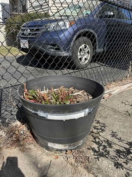 Photo of free garden supplies (Ball Square) #1