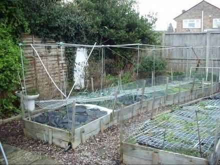 Photo of free Framing for crop protection nets (Woodley RG5) #1