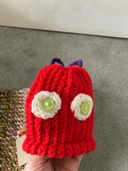Photo of free Hungry caterpillar outfit (Biddenham, Bedford) #3