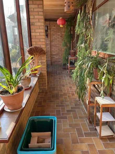 Photo of free Indoor plants (Hartburn Village TS18) #1