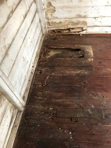 Photo of free Garden Shed (Hoddesdon EN11) #4
