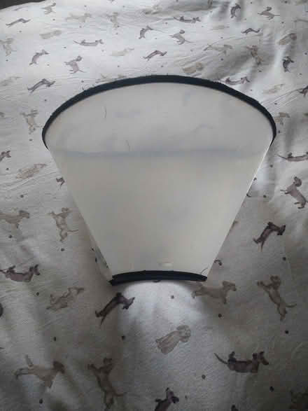 Photo of free Medical Dog Cone (Gosport PO12) #2